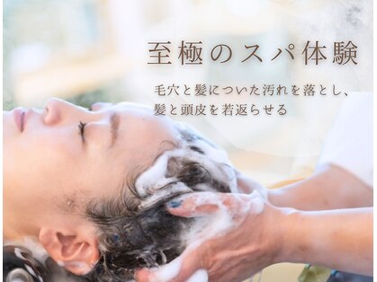 ハナモリ テララ(hanamori terara)の写真