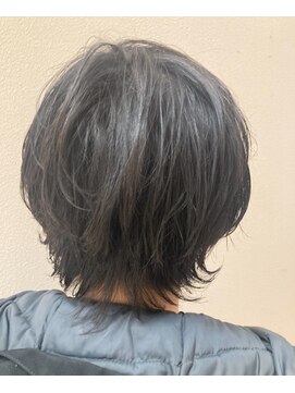 シャンプーボーイ ウルフショート