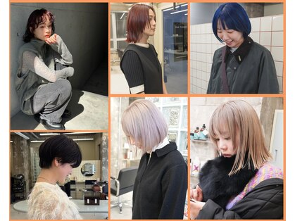 ベラ(BELLA)の写真