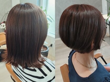 サジェス(Sagesse)の写真