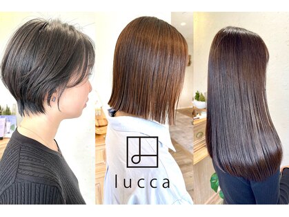 ルッカ 浦安(lucca)の写真