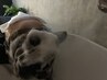 ♪白髪予防カラー人気No.1♪ ヘッドスパ＋白髪ぼかしカラー￥22000→→→
