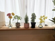 ウサギヘアー(Usagi hair)の雰囲気(お花が可愛いです)