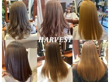 ハーヴェスト(HARVEST)