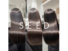 シード(SEED)の雰囲気（四日市　まとまるレイヤー、まとまるショート、髪質改善を是非！）