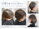 ヴィオラカラー(VIOLLA COLOR)の写真