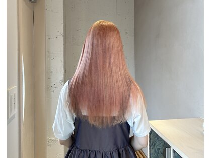 ティム(tim)の写真