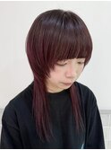 ロングマッシュウルフ×ボルドールビー