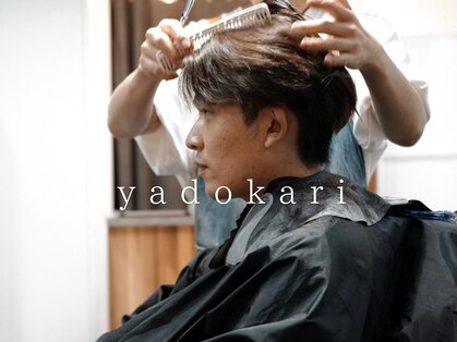 ヤドカリ(yadokari)の写真