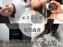 ヘアーアートシフォン 池袋西口店(Hair art chiffon)の雰囲気(マイクロバブルで、頭皮環境◎カラーやトリートメント効果UP)