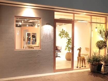 ペロ(pelo)の写真