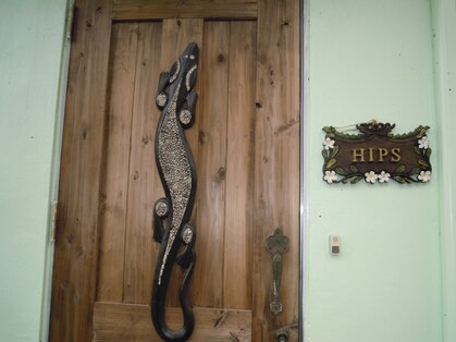 ヒップス(HIPs)の写真