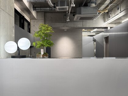 ローレン(Lolen.)の写真
