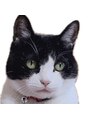 シー(SEE.)&nbsp;愛猫みちこさんです♪