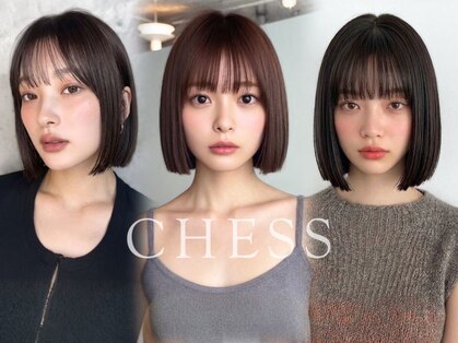 チェス(CHESS)の写真