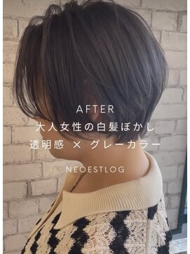 ネオエストログ(NeoestLog) 全頭ブリーチ+白髪ぼかしカラー