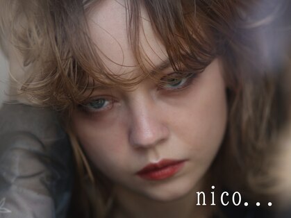 ニコ(nico...)の写真