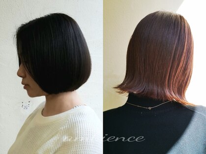 アンビエンス(ambience)の写真