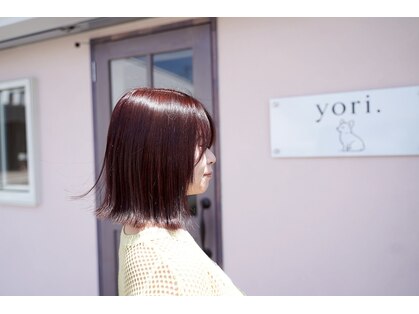 ヨリ(yori.)の写真