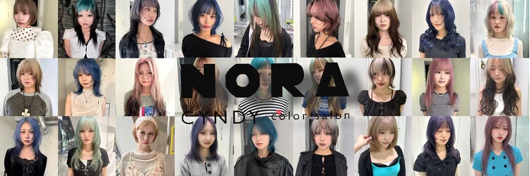 ノラ シンディ(NORA CYNDY)のサロンヘッダー