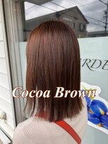 ネリネ(Nerine)&nbsp;ココアブラウン