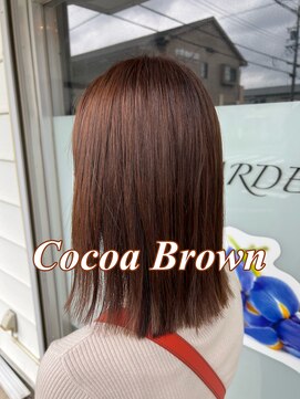 ネリネ(Nerine) ココアブラウン