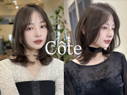 コート 表参道(Cote)の写真