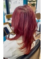 アルジャーノン(algernon) ボルドーカラー