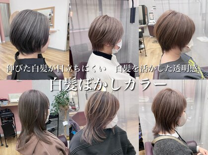 キセイ イオンモール新利府北館店(KISEI)の写真