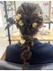 ファブルヘアー(FABLE HAIR)の写真/ダメージを考慮しながらハイトーンやデザインカラーを楽しめるサロン☆カットからヘアアレンジまで幅広く