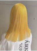 《仲山》イエローカラー
