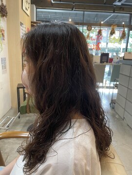 クラク 羽根木店(kuraku) ロング