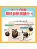 ☆簡単5秒でマイナス10歳☆カラーカット＋ウィッグ無料体験★9900円～