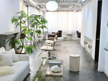 ユーリカ(Eurica)の写真