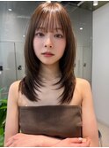 顔周りレイヤーカットくびれヘアミルクティーベージュカラー韓国