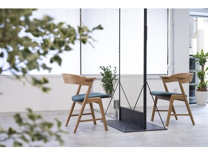 シファカ(sifaka)の写真