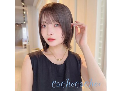 カシュカシュ(cache cache)の写真