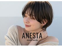 アネスタ(ANESTA)
