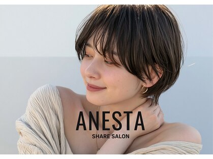 アネスタ(ANESTA)の写真