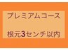 【プレミアムコース】根元染め 3cmまで