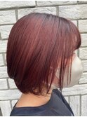 【藤沢横浜】レッドブラウン/ブリーチなしカラー/レッドカラー