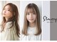 スタリー(Starry)の写真