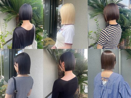 ヒャッカ(hyakka)の写真