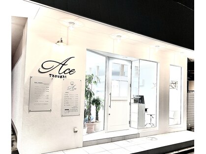 エース(Ace)の写真