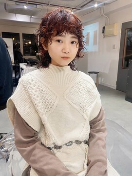 丹 ウルフハードパーマ×レッドブラウン