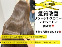 シュアショット(SURE SHOT)