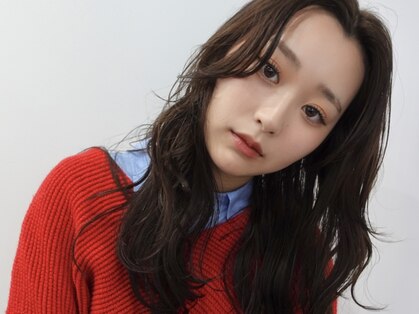 シロ(Shiro)の写真