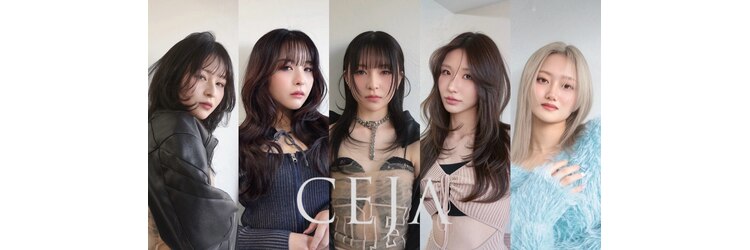セーハ(CEJA)のサロンヘッダー