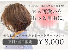 ヴィオラカラー(VIOLLA COLOR)