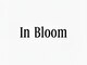 In Bloom【インブルーム】【4月1日NEW OPEN(予定)】の写真/細部までこだわった眉・ひげのお手入れで清潔感アップ◎ヘアスタイルに合わせたトータルケアを叶えます☆